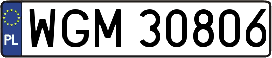 WGM30806