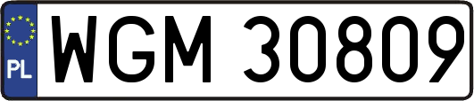 WGM30809