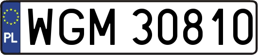 WGM30810