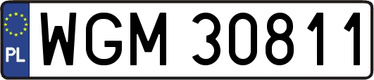 WGM30811