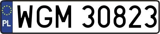 WGM30823