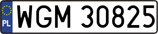 WGM30825