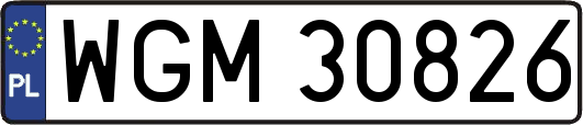 WGM30826