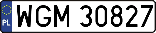 WGM30827