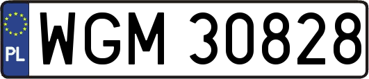 WGM30828