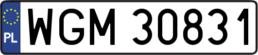 WGM30831