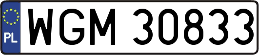 WGM30833