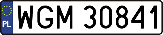WGM30841