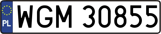 WGM30855