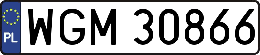 WGM30866