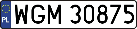 WGM30875