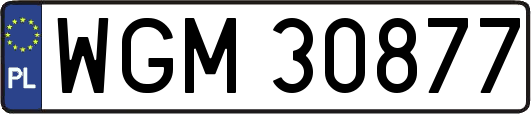 WGM30877