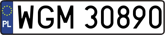 WGM30890