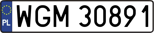 WGM30891
