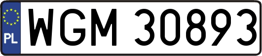 WGM30893
