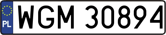 WGM30894