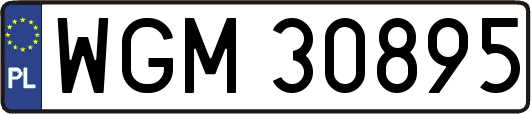 WGM30895