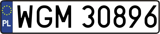 WGM30896