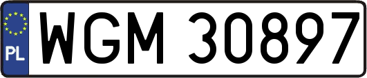 WGM30897
