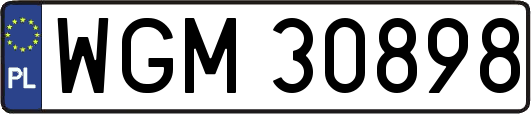 WGM30898