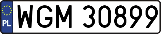 WGM30899