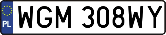 WGM308WY