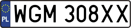 WGM308XX