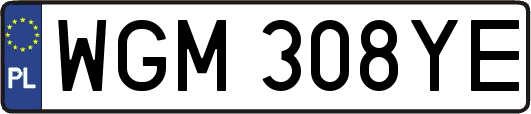 WGM308YE