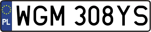 WGM308YS