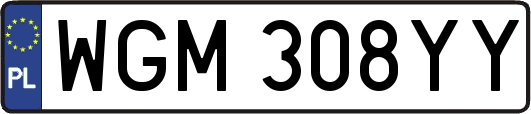 WGM308YY