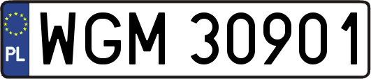 WGM30901
