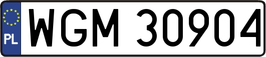 WGM30904
