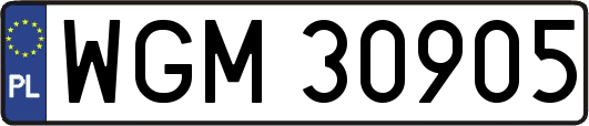 WGM30905