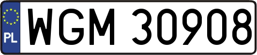 WGM30908