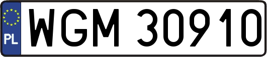 WGM30910