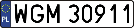 WGM30911