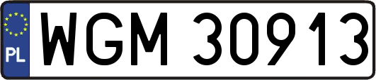 WGM30913
