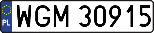 WGM30915