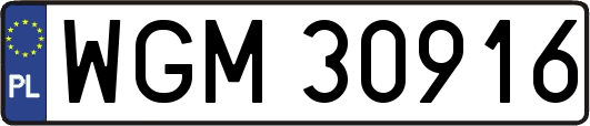 WGM30916