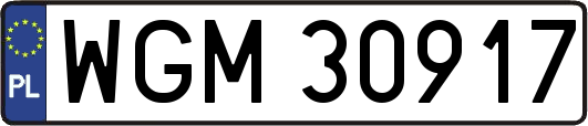 WGM30917