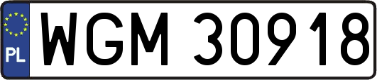 WGM30918