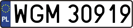 WGM30919