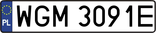 WGM3091E