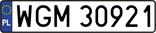 WGM30921