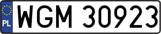 WGM30923