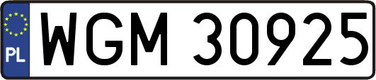 WGM30925