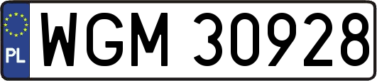 WGM30928