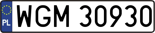 WGM30930