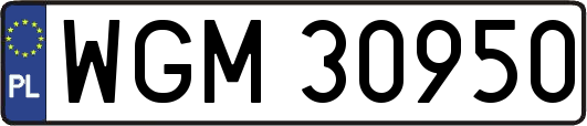 WGM30950