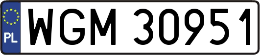 WGM30951